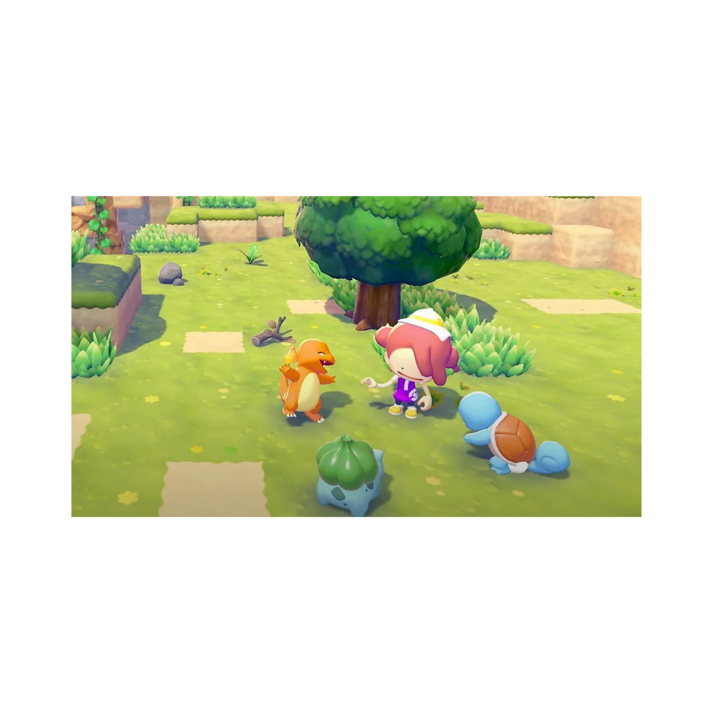 Nintendo Switch 2 - Pokemon Pokopia + Travel Bag